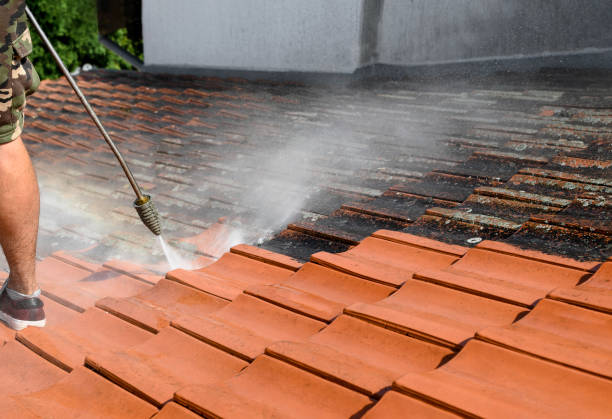 Why Choose Our Certified Pressure Washing Experts for Your Project Needs in Prospect Heights, IL?