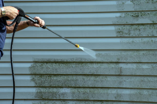 Best Pressure Washing Contractors  in Prospect Heights, IL