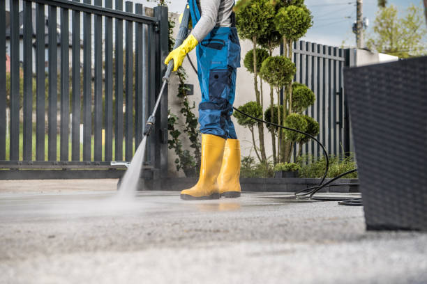 Best Pressure Washing Siding  in Prospect Heights, IL