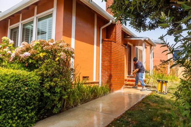 Best Roof Pressure Washing  in Prospect Heights, IL