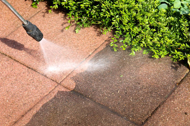 Best Deck Cleaning Services  in Prospect Heights, IL